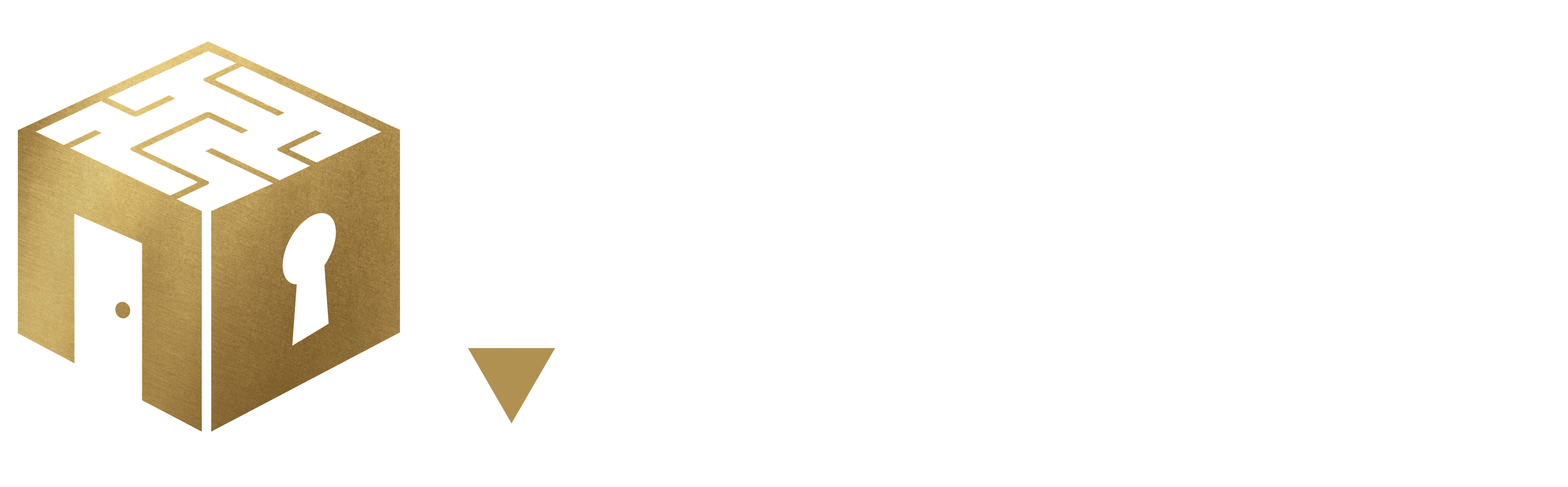 Mastermind Biel Logo